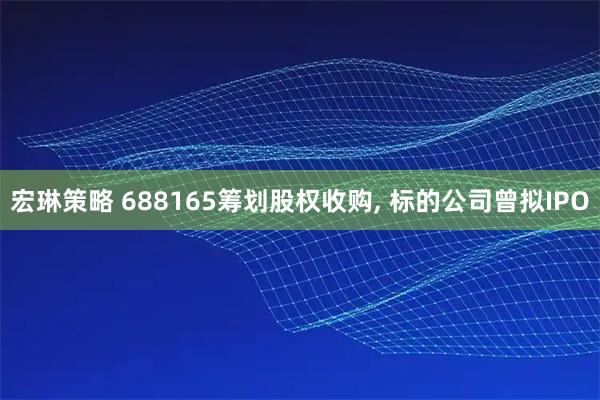 宏琳策略 688165筹划股权收购, 标的公司曾拟IPO