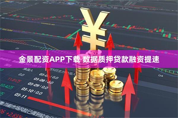 金景配资APP下载 数据质押贷款融资提速