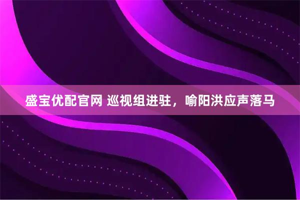 盛宝优配官网 巡视组进驻，喻阳洪应声落马
