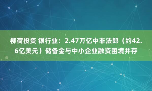 柳荷投资 银行业：2.47万亿中非法郎（约42.6亿美元）储备金与中小企业融资困境并存